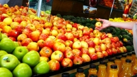 Hà Nội: Sẽ cấp biển nhận diện các cửa hàng bán trái cây đảm bảo